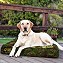 Orthopaedic Dog Bed Waterproof Memory Foam Top Slab 19cm Thickness Durable Various Sizes & Colours